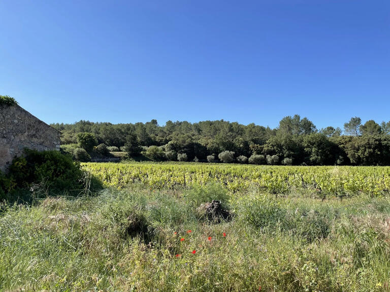 Vineyard Cotignac - 2132m²