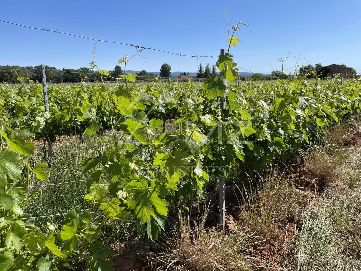 Domaine viticole Cotignac