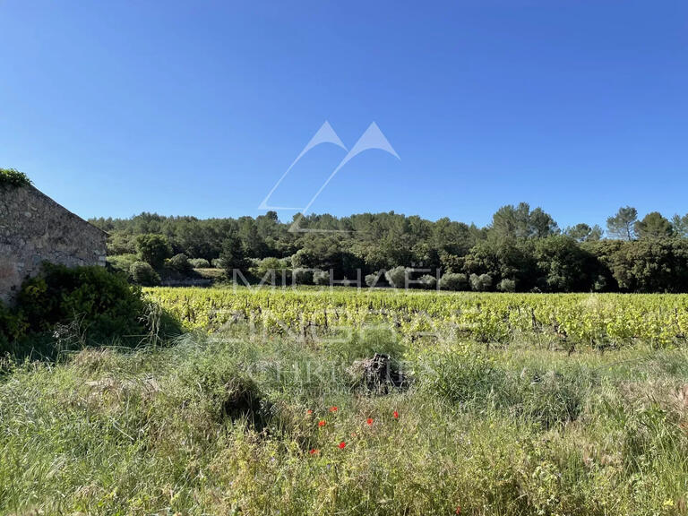 Vineyard Cotignac - 2132m²