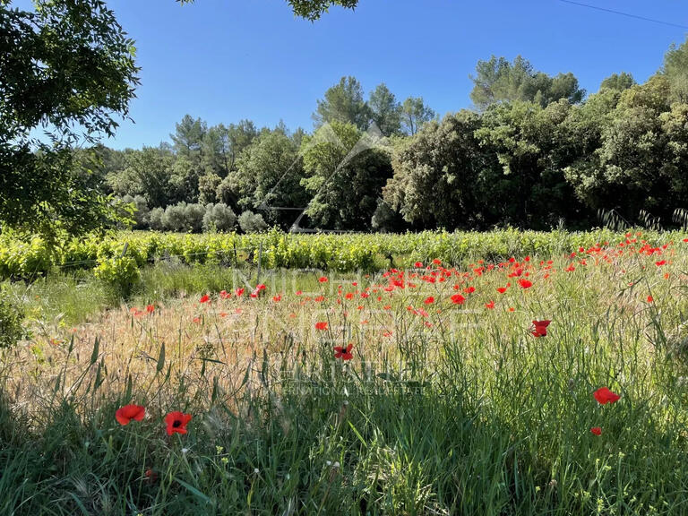 Vente Domaine viticole Cotignac