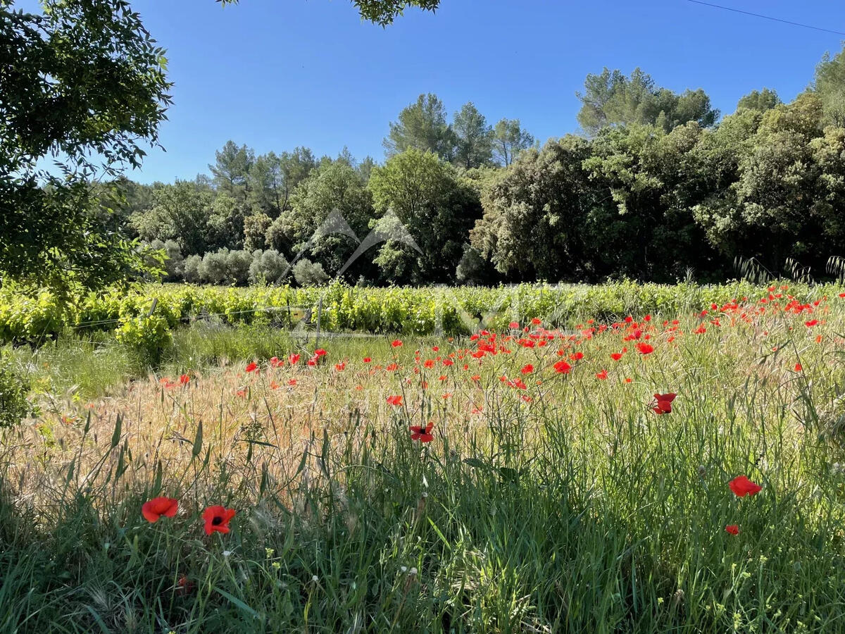 Domaine viticole Cotignac