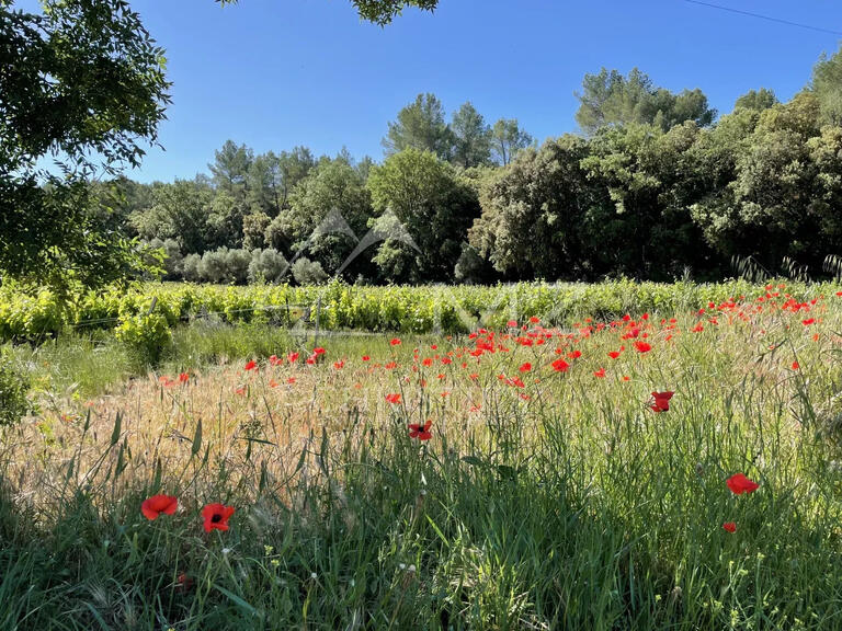 Domaine viticole Cotignac - 2132m²