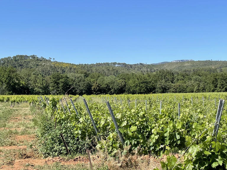 Vineyard Cotignac - 2132m²