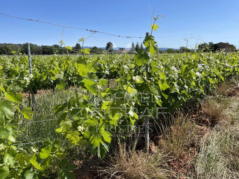 Vineyard Cotignac - 2132m²