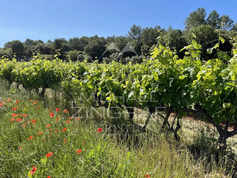 Vineyard Cotignac - 2132m²