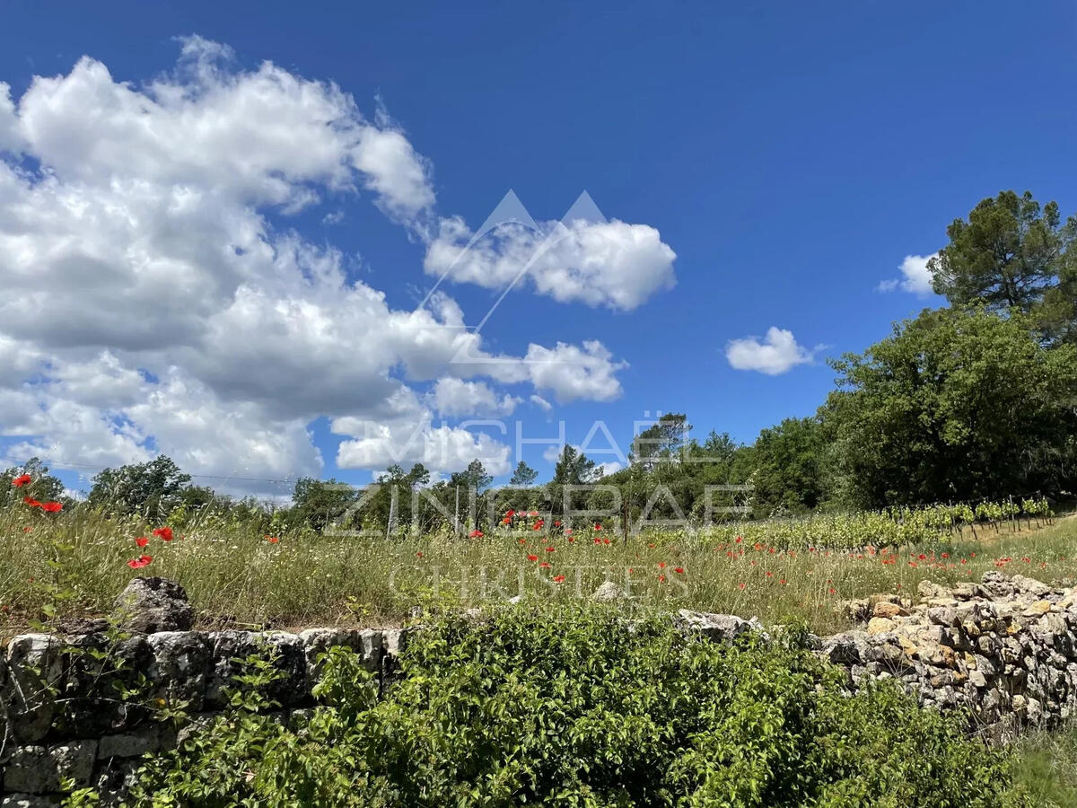 Vineyard Cotignac