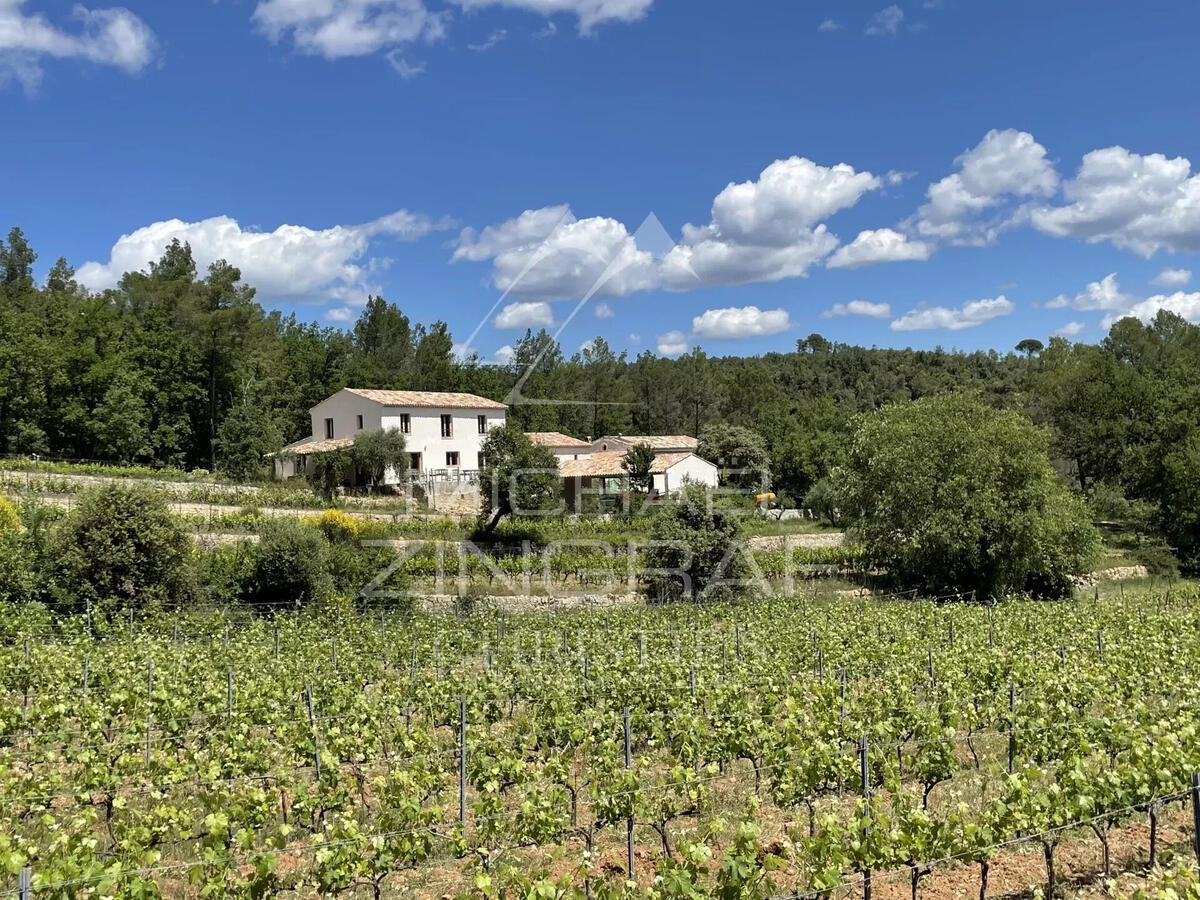 Vineyard Cotignac