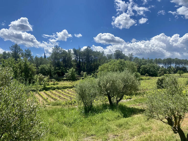 Vineyard Cotignac - 593m²