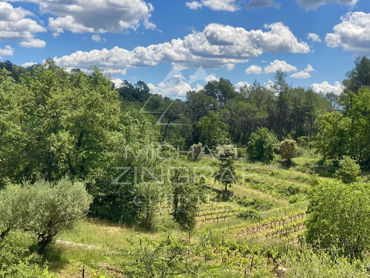 Vineyard Cotignac