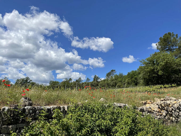 Vineyard Cotignac - 593m²