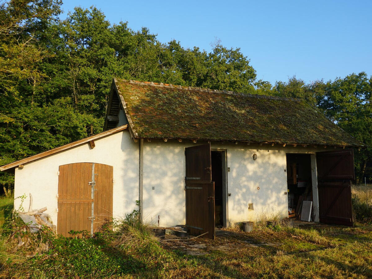 House Cour-Cheverny