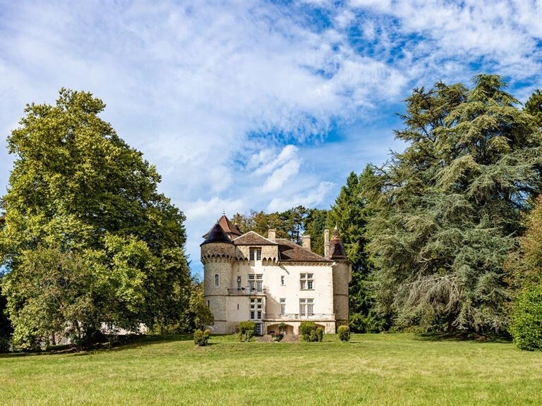 Castle Courtenay - 9 bedrooms - 850m²