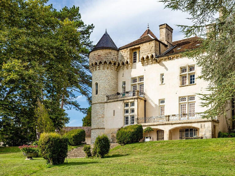 Château Courtenay - 9 chambres - 850m²