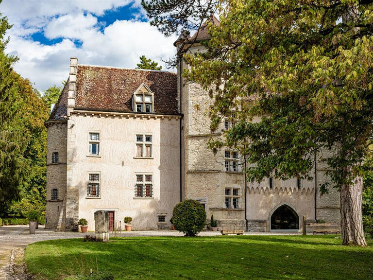 Château Courtenay - 9 chambres - 850m²