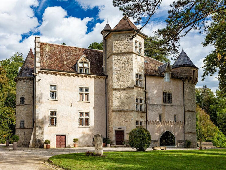 Castle Courtenay - 9 bedrooms - 850m²