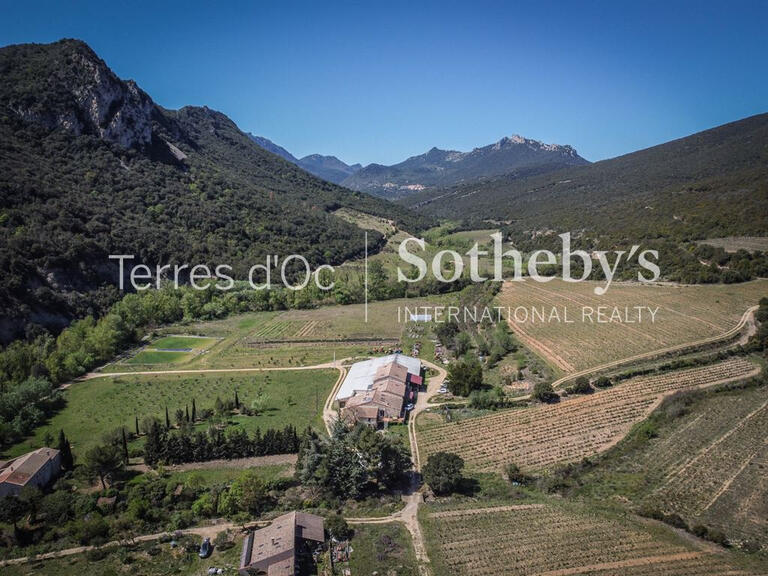 Vineyard Cucugnan - 6 bedrooms - 285m²