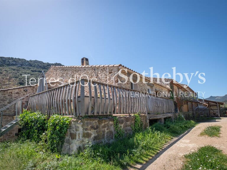 Domaine viticole Cucugnan - 6 chambres - 285m²