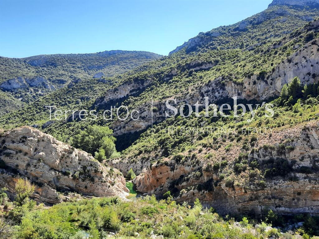 Vineyard Cucugnan