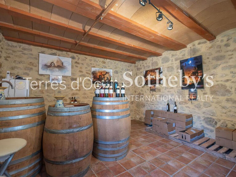 Vente Domaine viticole Cucugnan - 6 chambres