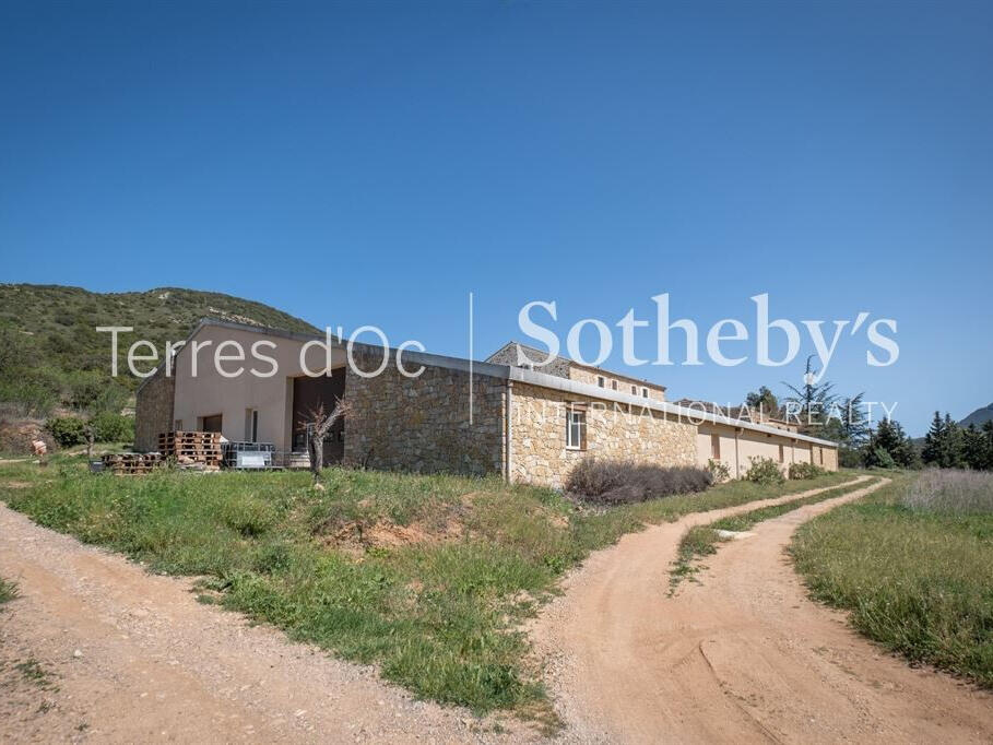 Vineyard Cucugnan