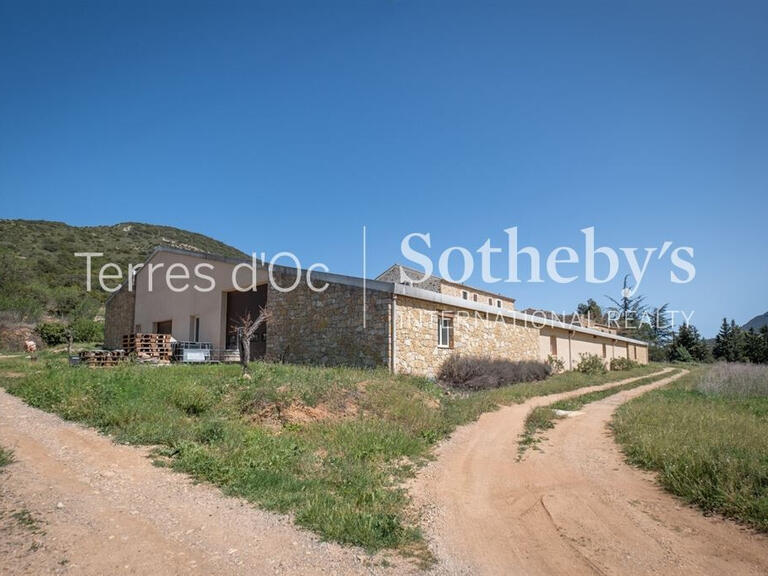 Vineyard Cucugnan - 6 bedrooms - 285m²