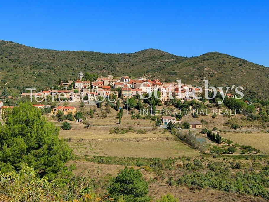 Vineyard Cucugnan