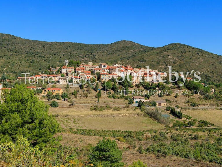 Vineyard Cucugnan - 6 bedrooms - 285m²