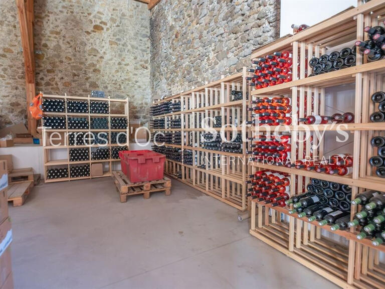 Vente Domaine viticole Cucugnan - 6 chambres