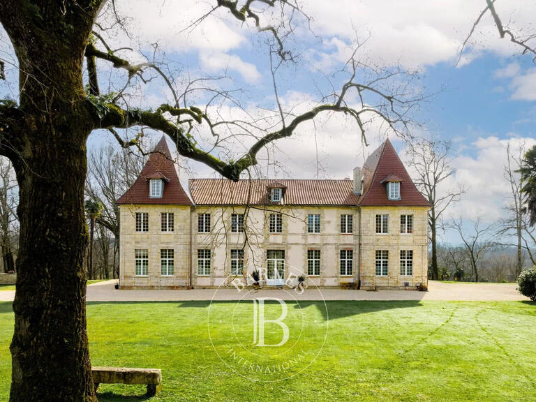 Castle Dax - 8 bedrooms - 650m²