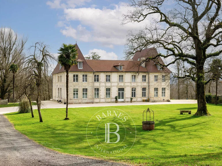 Castle Dax - 8 bedrooms - 650m²