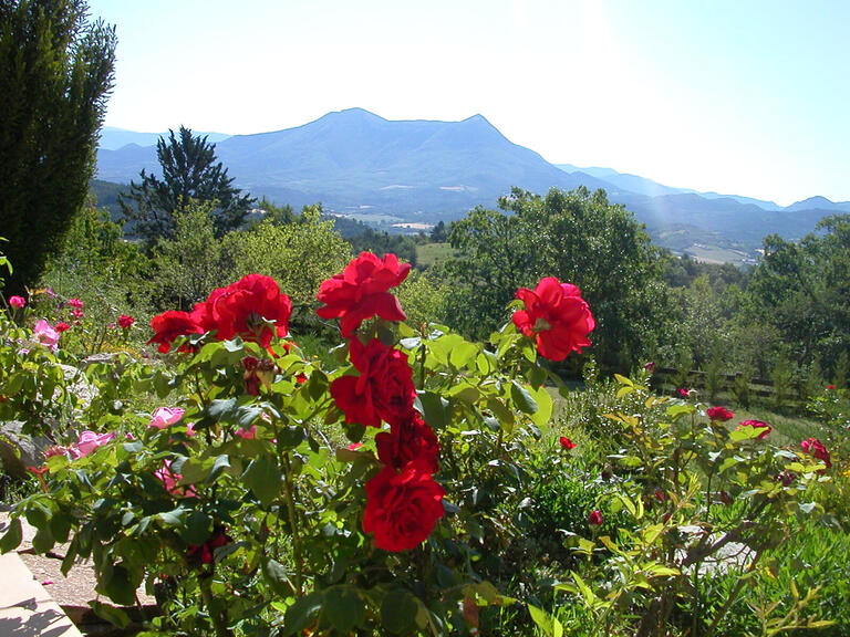 Maison Digne-les-Bains - 3 chambres - 154m²