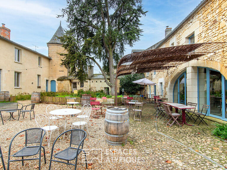 Villa Doué-en-Anjou - 8 bedrooms