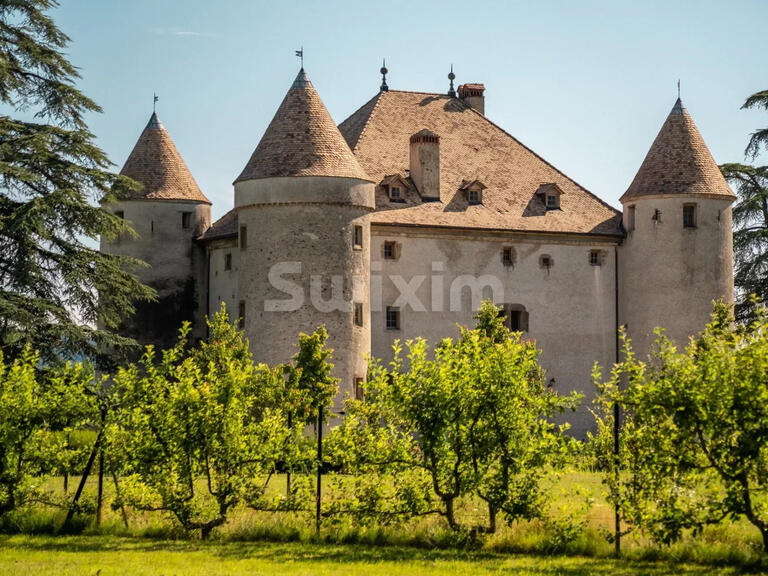 Propriété Douvaine - 14 chambres - 1204m²