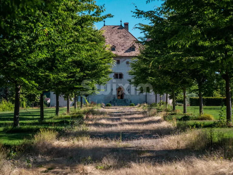 Propriété Douvaine - 14 chambres - 1204m²