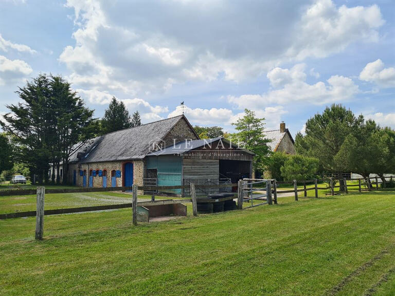 Vente Propriété équestre Évron - 4 chambres