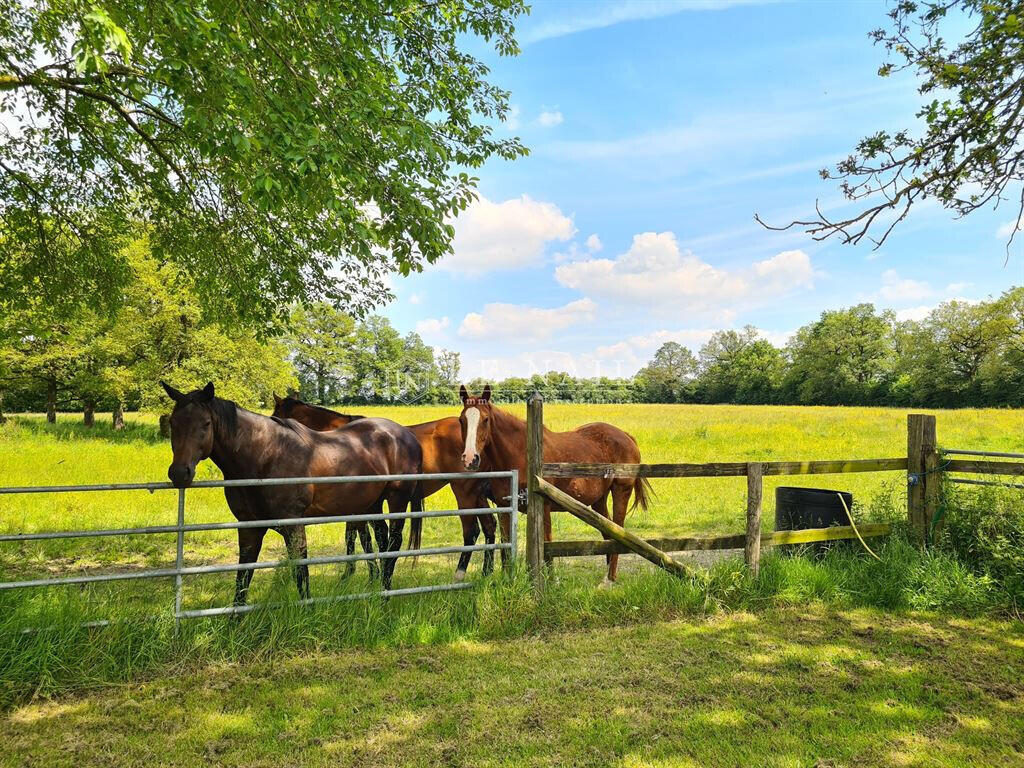 Equestrian property Évron