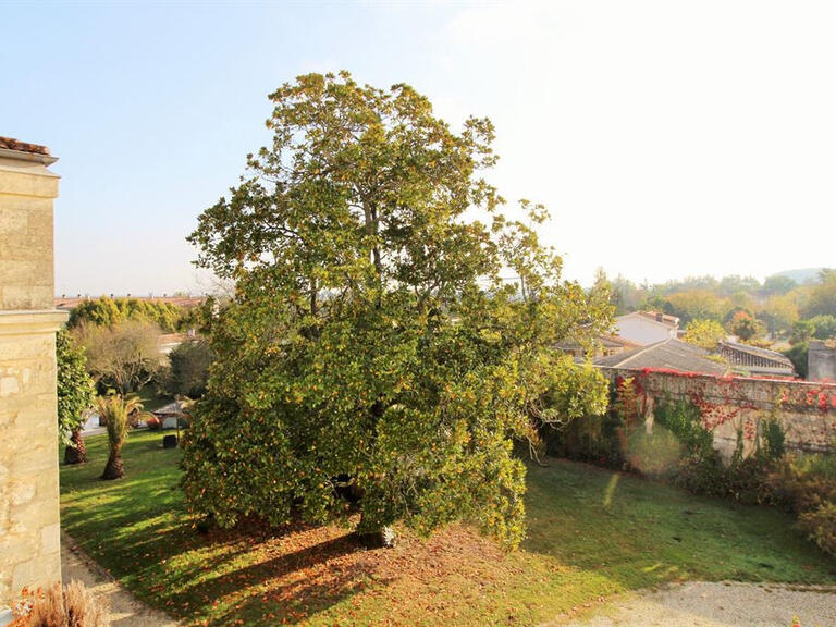 Castle Eysines - 5 bedrooms - 463m²