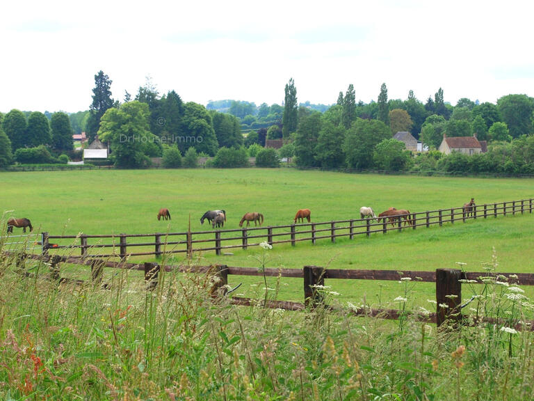 Mansion Falaise - 6 bedrooms - 555m²