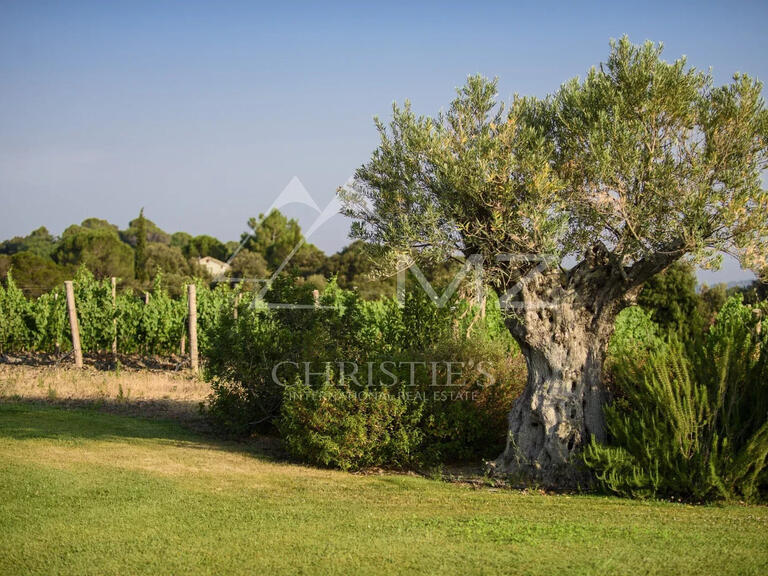 Domaine viticole Faugères