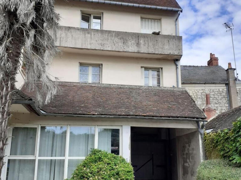 House Faverolles-sur-Cher