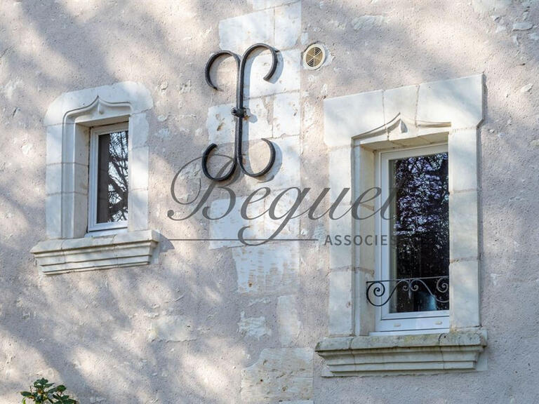 House Faye-la-Vineuse - 10 bedrooms - 530m²