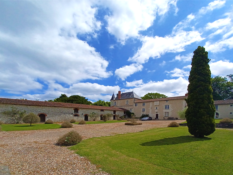 House Faye-la-Vineuse - 10 bedrooms - 530m²