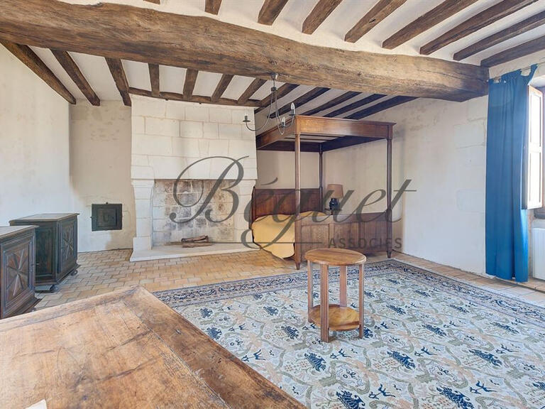 Maison Faye-la-Vineuse - 10 chambres - 530m²