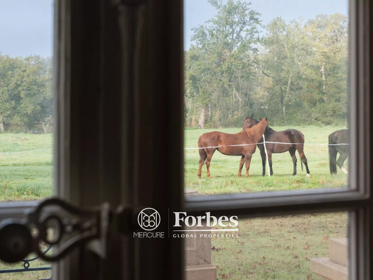 Château Feurs - 6 chambres - 1191m²