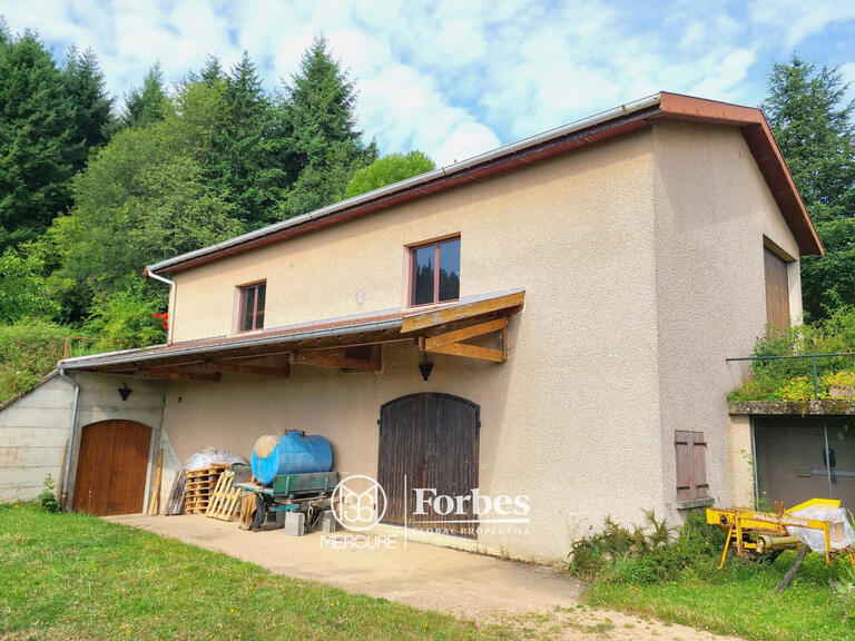 Domaine viticole Fleurie - 10 chambres - 418m²