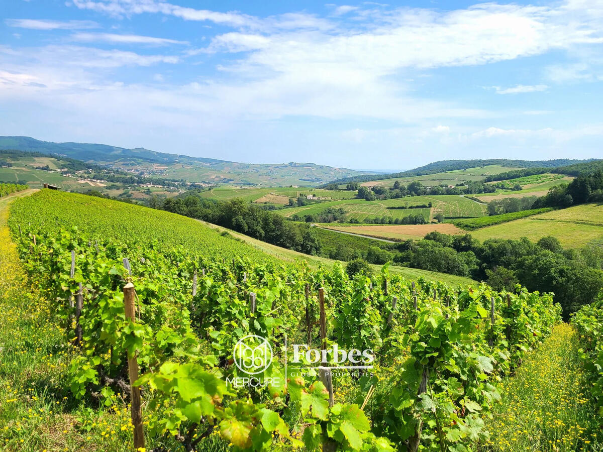 Domaine viticole Fleurie