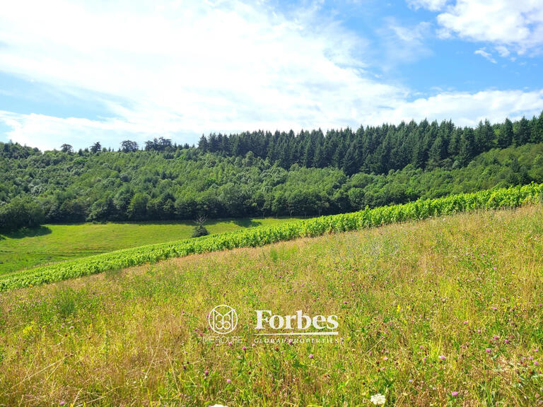 Vineyard Fleurie - 10 bedrooms - 418m²