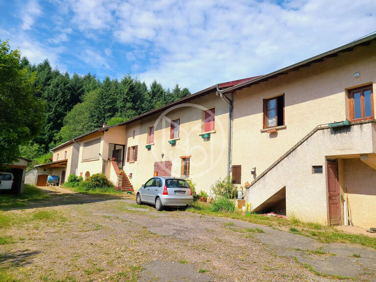 Domaine viticole Fleurie - 10 chambres - 418m²