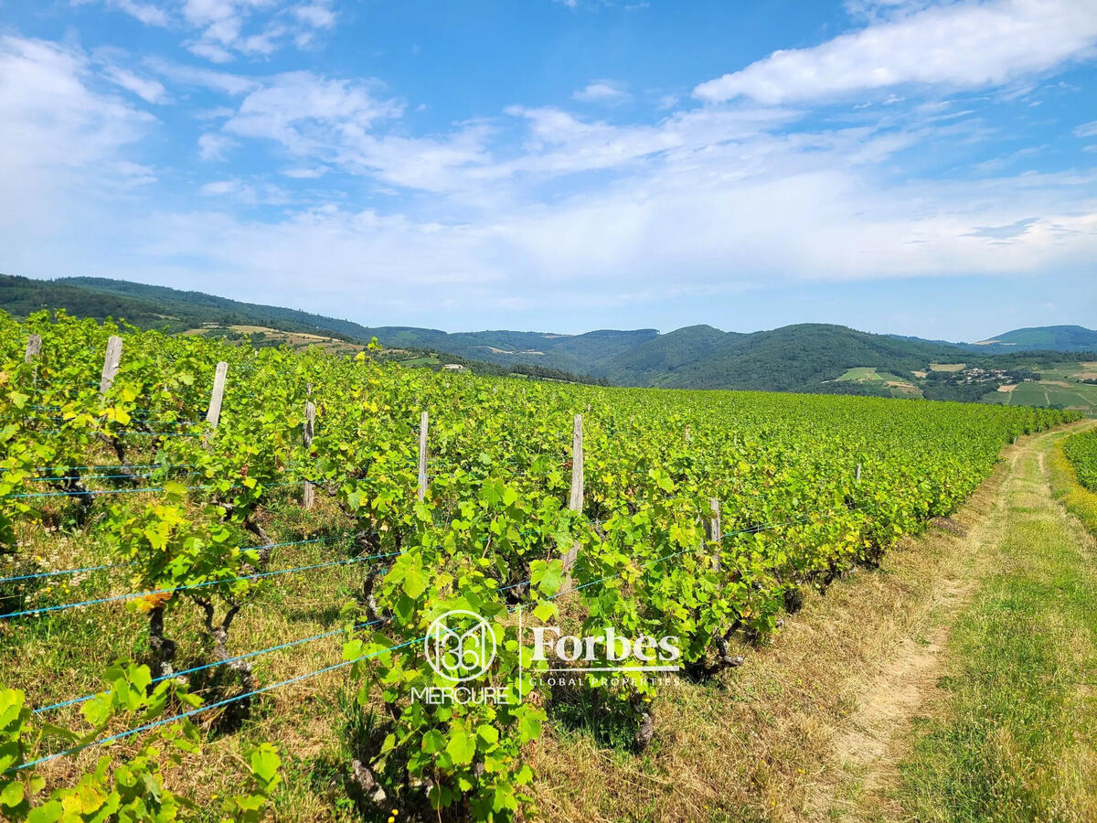 Domaine viticole Fleurie