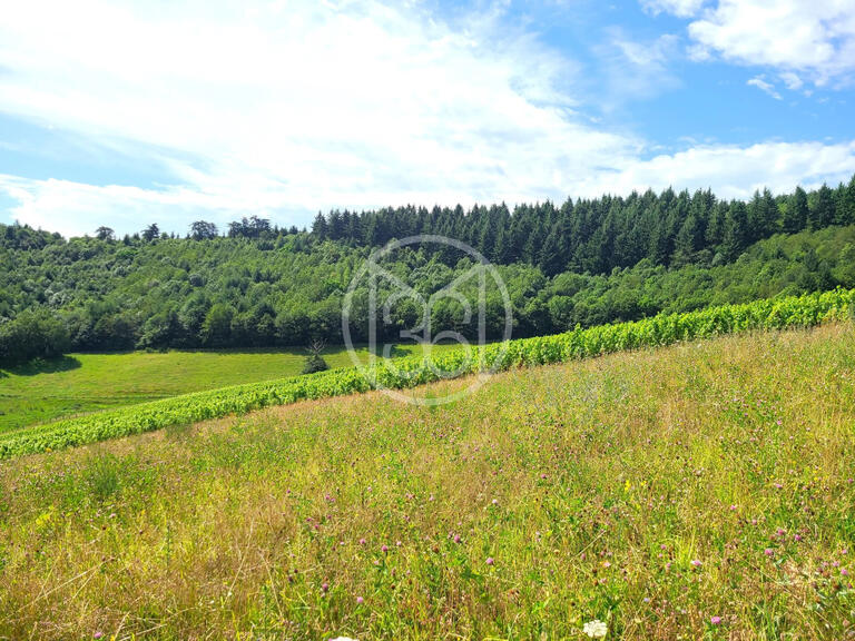 Domaine viticole Fleurie - 10 chambres - 418m²